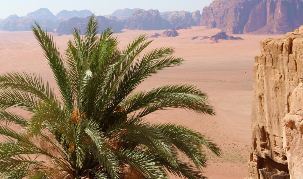 Wadi Camp Campo de lujo