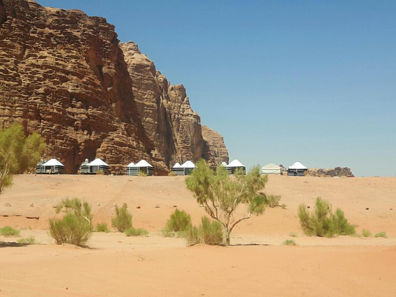 Campo de lujo Wadi Camp *