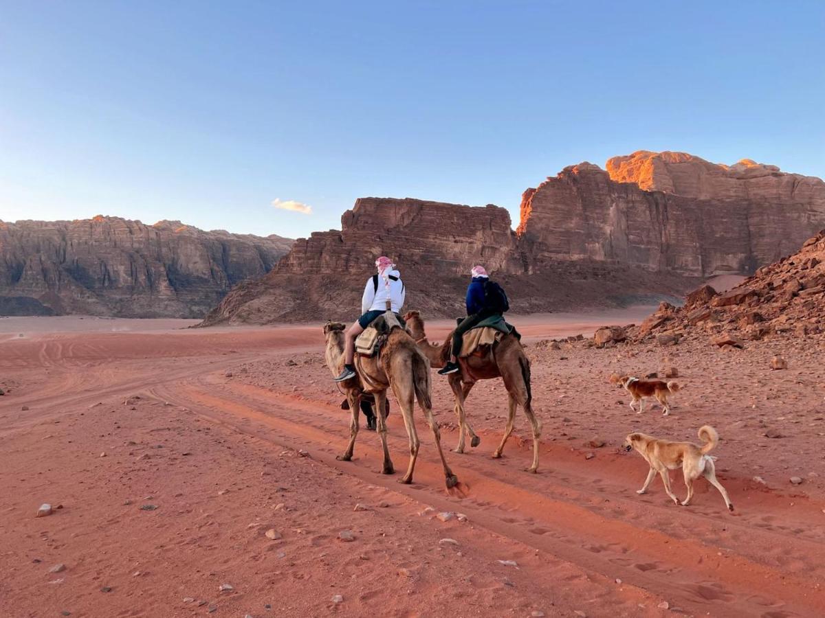 Wadi Camp *